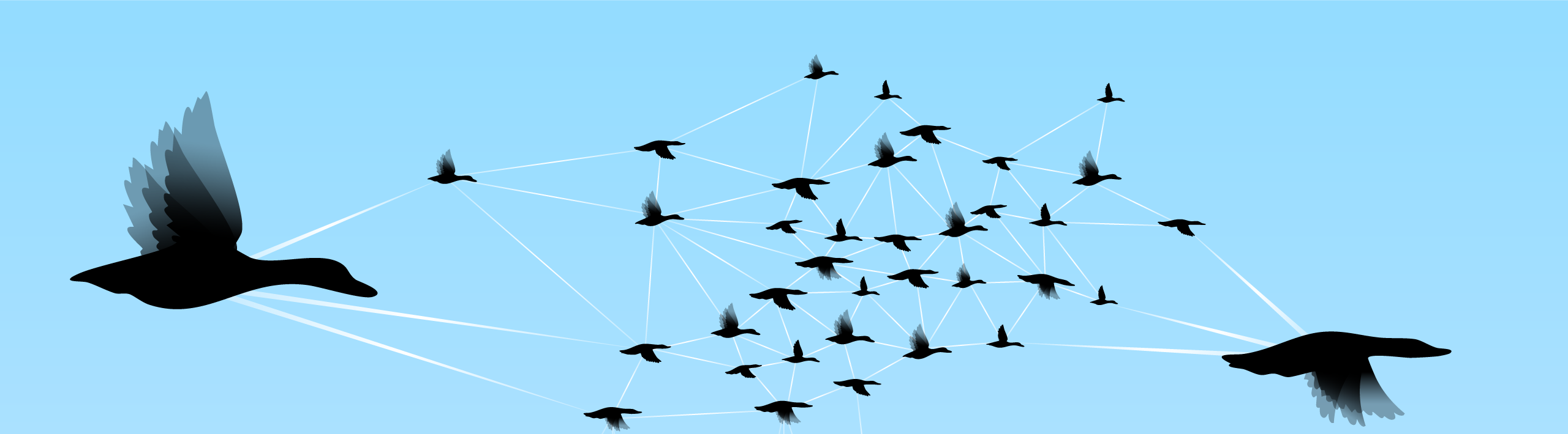 Flock Blog header