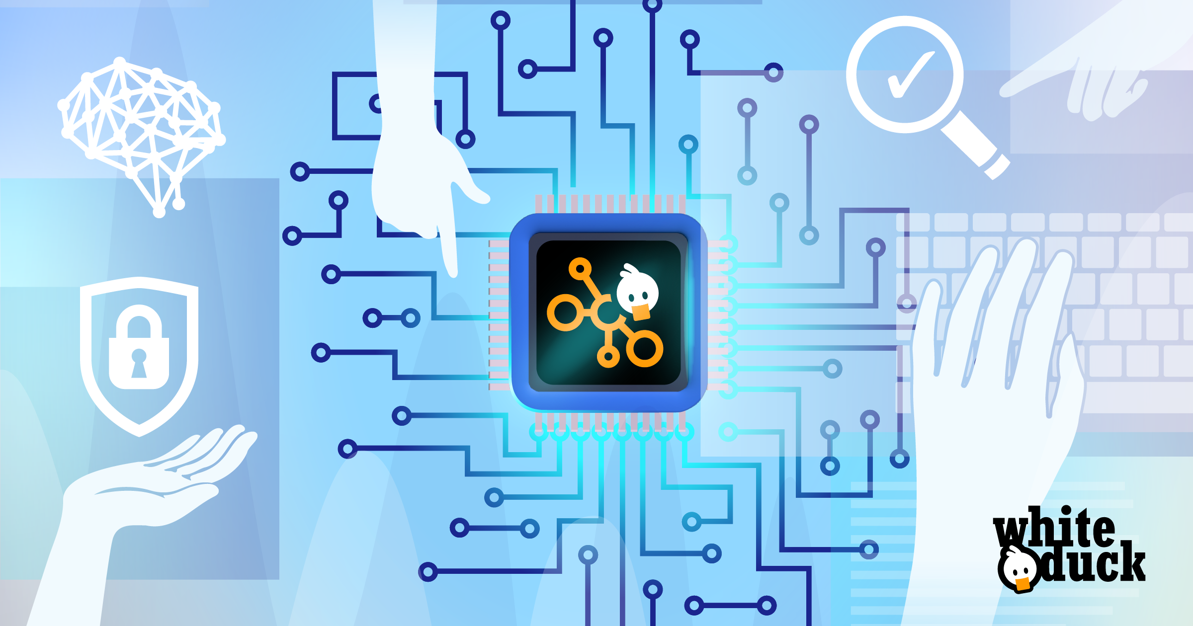DB WD Blog TokenControl SocialMediaSizes v04 Explainer FB