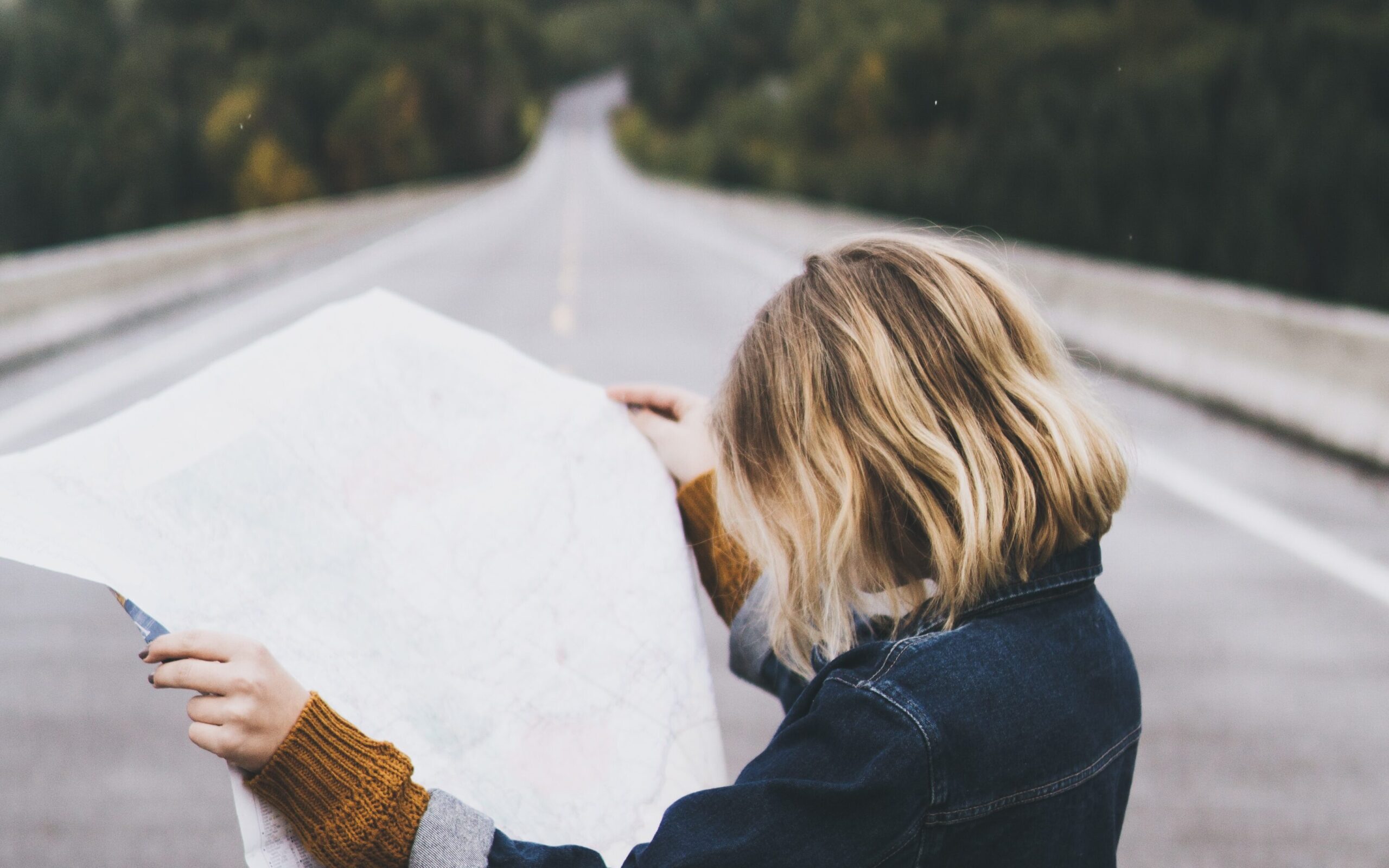 Angular Signals in v17 - A revolution? 7 daniel gonzalez KeiUIl9Lzo4 unsplash edited scaled 1