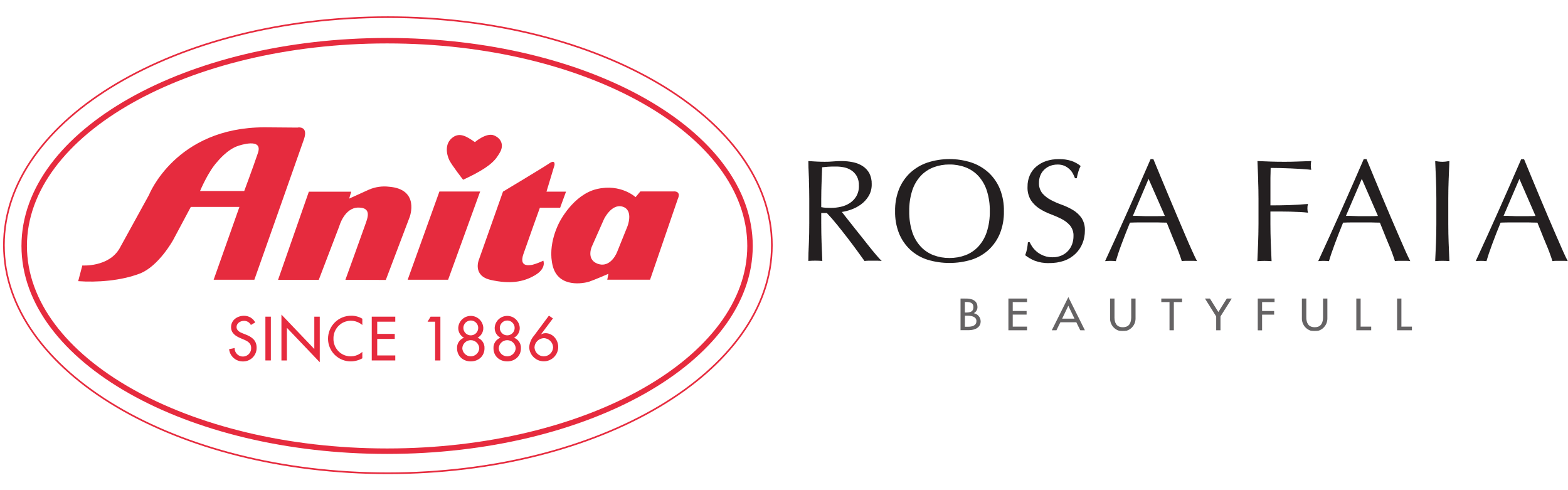 Anita-Logo